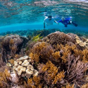 One Day Snorkeling Tour Nusa Penida - Private Boat