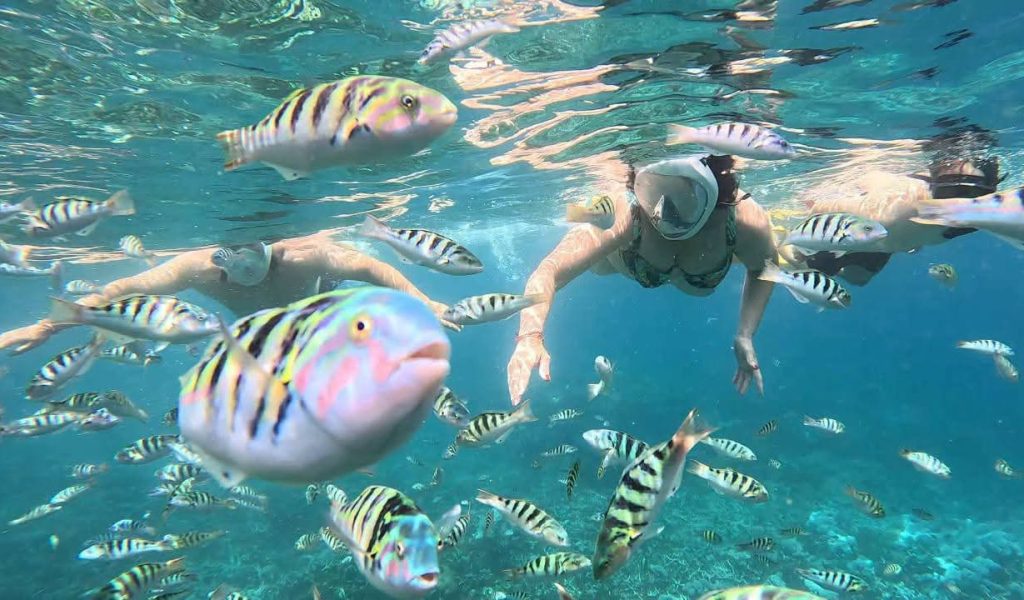 WhatsApp Image 2026-05-05 at 16.28.46 (1)